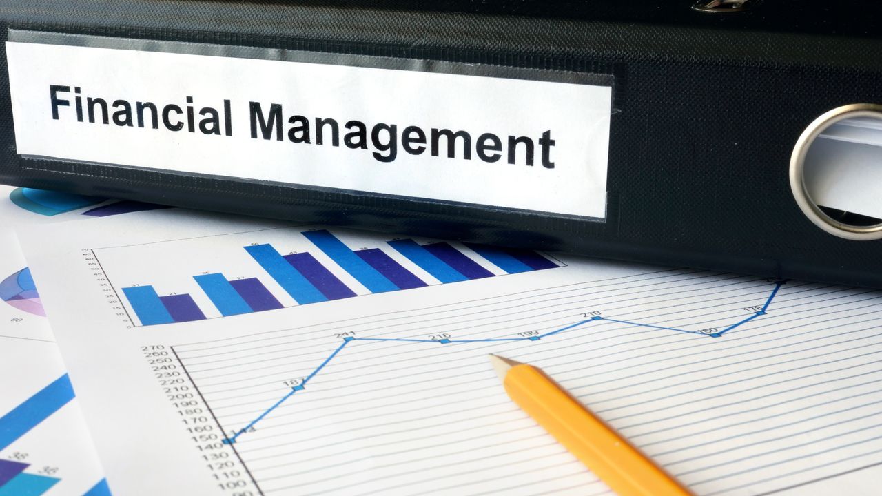 Financial Management Advisory Services